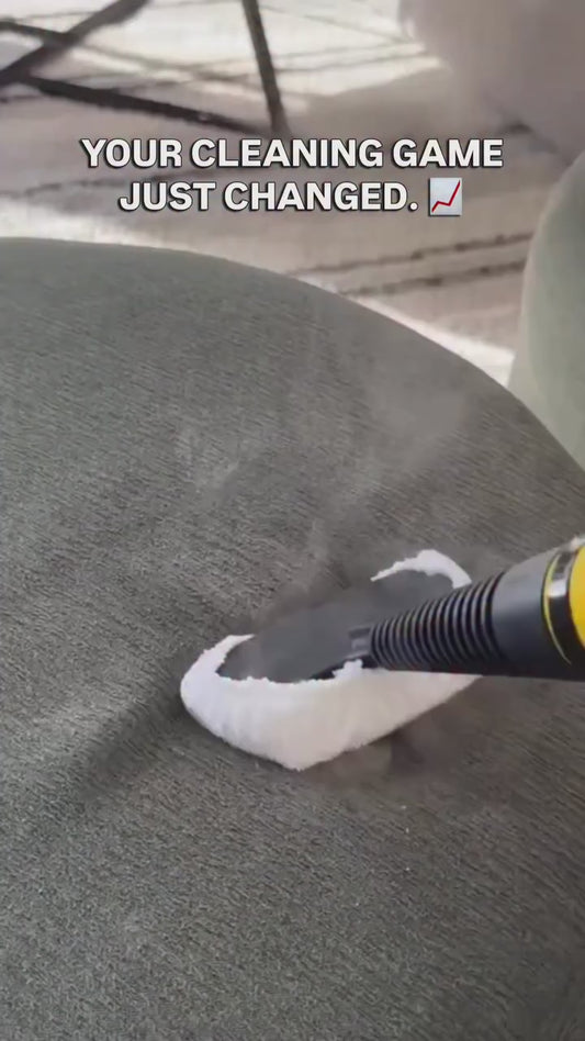 Hand  Portable Steam cleaner
